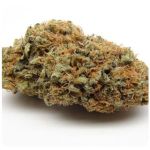 Шишки AK47 (Гидропоника, Бошка) VHQ в Дедовске Шишки AK47 (Гидропоника, Бошка) VHQ в Дедовске